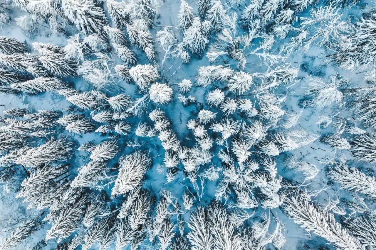 Chalet Azalee, Montriond, Morzine, Avoriaz Экстерьер фото